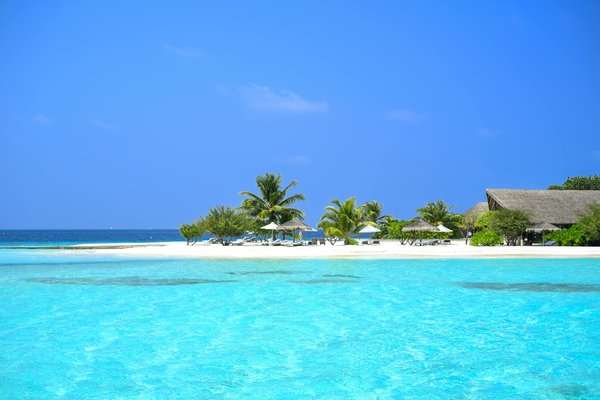 Les tendances de location de maisonnette à découvrir