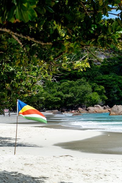 À la découverte du parc marin de sainte-anne aux seychelles